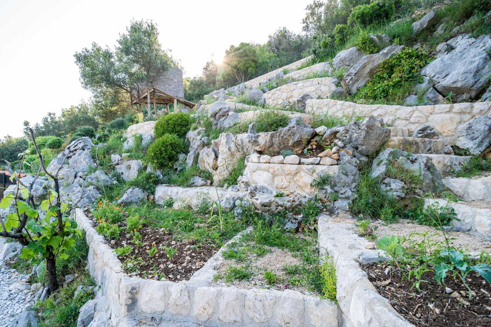 Apartments Villa Arcadia Dubrovnik Oda fotoğraf
